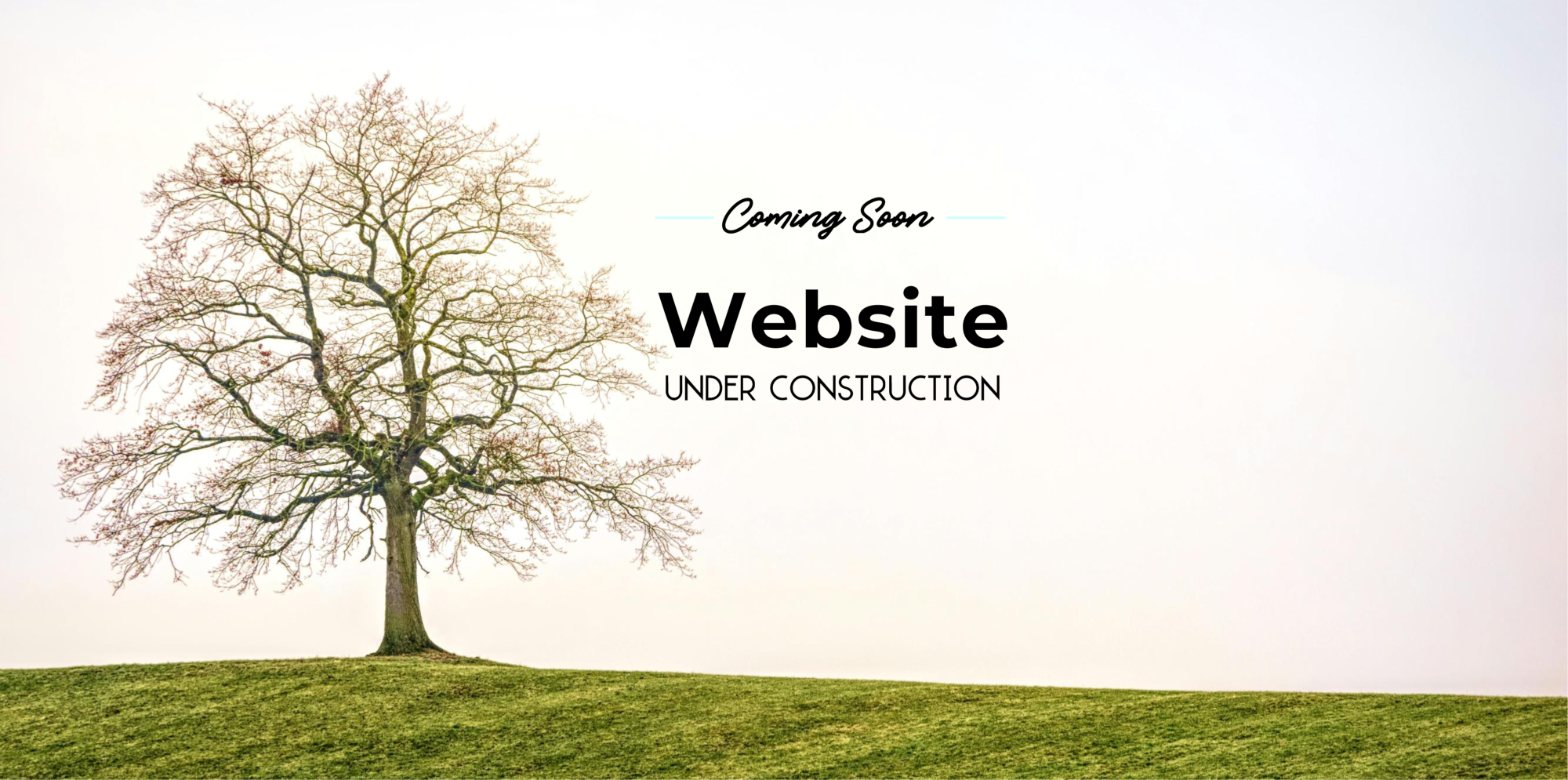 Website Under Contruction
